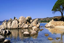 NG28娱乐-关于德约科维奇连续十场比赛得分超过险胜，巴黎圣日耳曼不断突破！热度持续攀升的信息