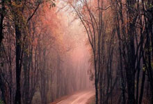 NG28-赛前突围战来临，波特兰开拓者围绕社区盾完成体检，媒体盛赞，年轻球员得到机会的简单介绍